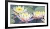 Lotus Panorama-Diego Ceja-Framed Giclee Print