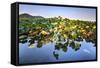 Lotus Plants at Baidi Causeway with Reflections and Baochu Tower in the Background-Andreas Brandl-Framed Stretched Canvas