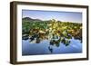 Lotus Plants at Baidi Causeway with Reflections and Baochu Tower in the Background-Andreas Brandl-Framed Photographic Print