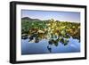 Lotus Plants at Baidi Causeway with Reflections and Baochu Tower in the Background-Andreas Brandl-Framed Photographic Print