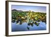 Lotus Plants at Baidi Causeway with Reflections and Baochu Tower in the Background-Andreas Brandl-Framed Photographic Print