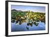 Lotus Plants at Baidi Causeway with Reflections and Baochu Tower in the Background-Andreas Brandl-Framed Photographic Print