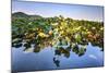 Lotus Plants at Baidi Causeway with Reflections and Baochu Tower in the Background-Andreas Brandl-Mounted Photographic Print