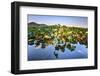 Lotus Plants at Baidi Causeway with Reflections and Baochu Tower in the Background-Andreas Brandl-Framed Photographic Print