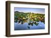 Lotus Plants at Baidi Causeway with Reflections and Baochu Tower in the Background-Andreas Brandl-Framed Premium Photographic Print