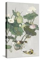 Lotus Pond I-Melissa Wang-Stretched Canvas