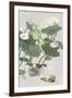 Lotus Pond I-Melissa Wang-Framed Art Print