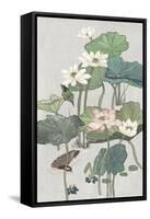 Lotus Pond II-Melissa Wang-Framed Stretched Canvas