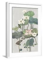 Lotus Pond II-Melissa Wang-Framed Art Print