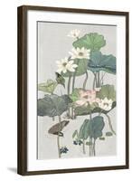 Lotus Pond II-Melissa Wang-Framed Art Print