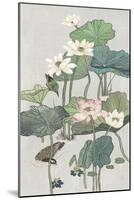 Lotus Pond II-Melissa Wang-Mounted Art Print