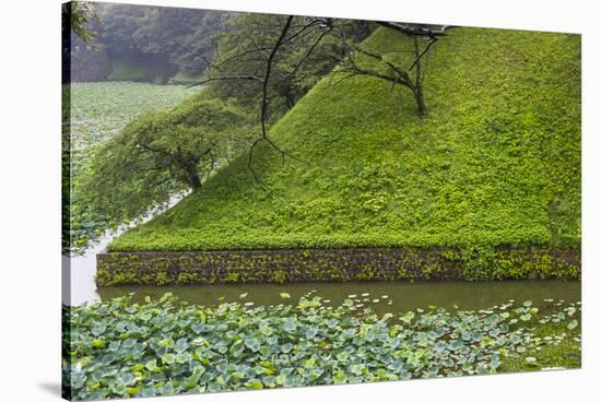 Lotus pond in the Royal Palace, Tokyo, Japan-Keren Su-Stretched Canvas