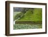 Lotus pond in the Royal Palace, Tokyo, Japan-Keren Su-Framed Photographic Print