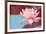 Lotus Pop (Blue)-null-Framed Art Print