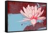 Lotus Pop (Blue)-null-Framed Stretched Canvas