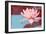 Lotus Pop (Blue)-null-Framed Art Print