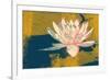 Lotus Pop (Mustard)-null-Framed Art Print