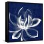 Lotus Shibori-Meili Van Andel-Framed Stretched Canvas