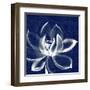 Lotus Shibori-Meili Van Andel-Framed Art Print