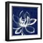 Lotus Shibori-Meili Van Andel-Framed Art Print