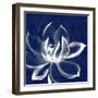 Lotus Shibori-Meili Van Andel-Framed Art Print