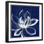 Lotus Shibori-Meili Van Andel-Framed Art Print