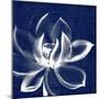 Lotus Shibori-Meili Van Andel-Mounted Art Print