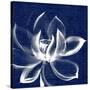 Lotus Shibori-Meili Van Andel-Stretched Canvas