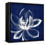 Lotus Shibori-Meili Van Andel-Framed Stretched Canvas