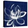 Lotus Shibori-Meili Van Andel-Stretched Canvas