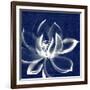 Lotus Shibori-Meili Van Andel-Framed Art Print