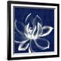 Lotus Shibori-Meili Van Andel-Framed Art Print