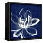 Lotus Shibori-Meili Van Andel-Framed Stretched Canvas