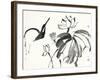 Lotus Study I-Nan Rae-Framed Art Print