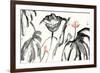 Lotus Study with Coral I-Nan Rae-Framed Art Print