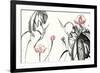 Lotus Study with Coral II-Nan Rae-Framed Art Print