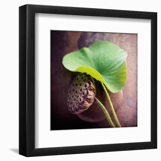Lotus-Glen and Gayle Wans-Framed Giclee Print