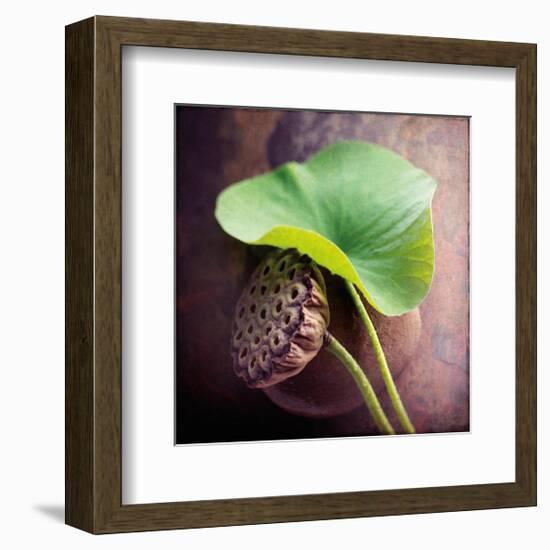 Lotus-Glen and Gayle Wans-Framed Giclee Print