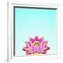 Lotus-Matt Crump-Framed Photographic Print