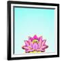 Lotus-Matt Crump-Framed Photographic Print