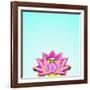 Lotus-Matt Crump-Framed Photographic Print