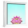 Lotus-Matt Crump-Framed Photographic Print