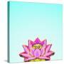 Lotus-Matt Crump-Stretched Canvas