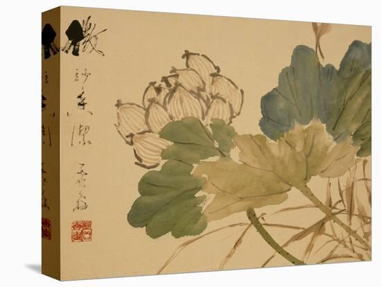 Lotus-Xu Gu-Stretched Canvas
