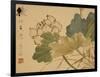 Lotus-Xu Gu-Framed Giclee Print