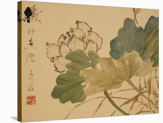 Lotus-Xu Gu-Stretched Canvas