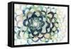 Lotus-Edward Selkirk-Framed Stretched Canvas