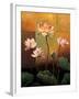 Lotus-Jill Deveraux-Framed Art Print