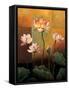 Lotus-Jill Deveraux-Framed Stretched Canvas