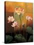Lotus-Jill Deveraux-Stretched Canvas